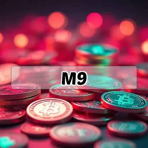 m9.com: Descubra a Seção de Classificação Que Você Necessita